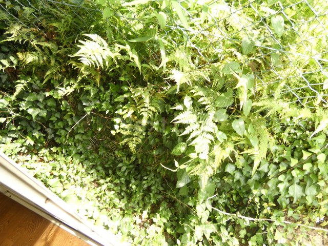 バルコニー　パレットハウス