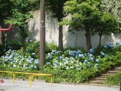 【ブランズ麻布狸穴町の公園】