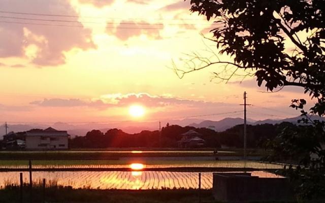 【シャインコスモの公園】