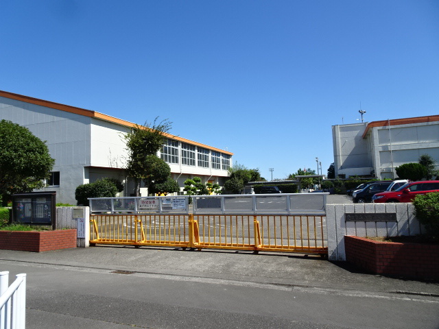 小学校　島田第五小学校（小学校）まで617m