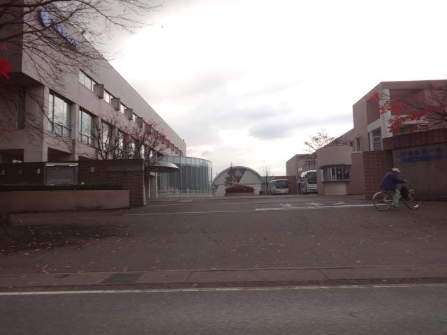 大学・短大　文星芸術大学（大学・短大）まで790m