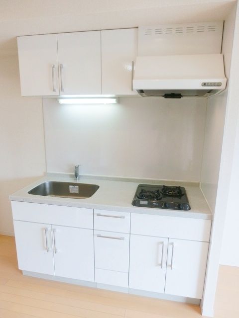キッチン　二口ガスシステムキッチン