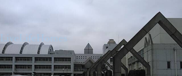 中学校　石井町立石井中学校（中学校）まで1466m