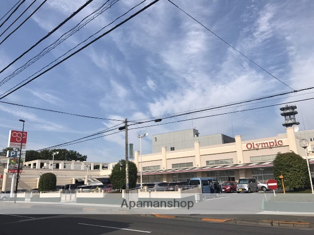 スーパー　（株）オリンピック／小金井店（スーパー）まで297m