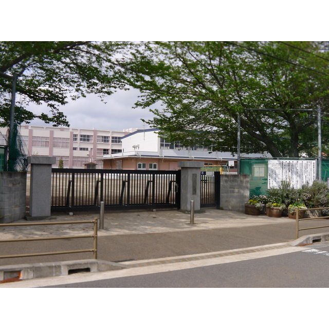 小学校　大和市立　桜丘小学校（小学校）まで750m