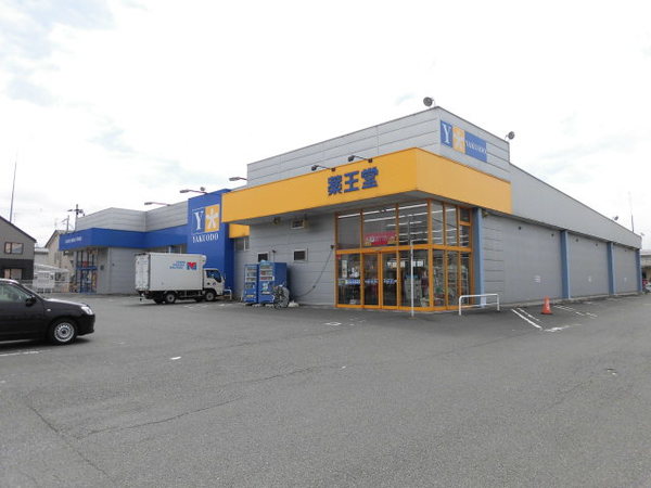 ドラックストア　薬王堂盛岡青山店（ドラッグストア）まで1036m