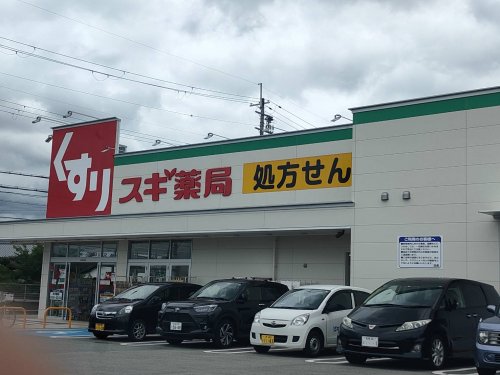 ドラックストア　スギドラッグ 柏原玉手店（ドラッグストア）まで291m