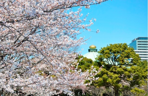 公園　北の丸公園（公園）まで638m