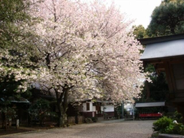 エントランス　神社まで40m
