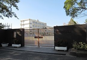 小学校　尼崎市立大島小学校（小学校）まで737m