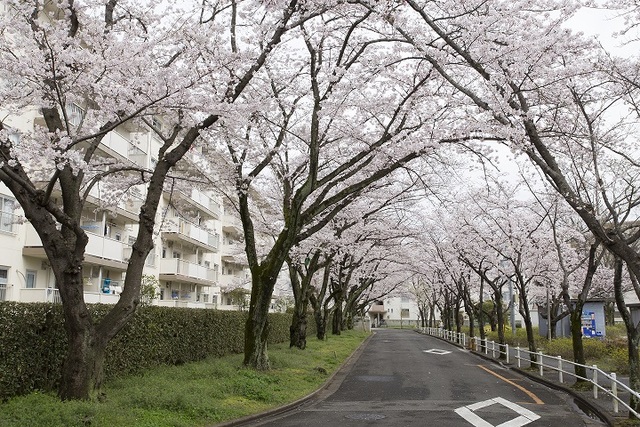 ＵＲ幸手の建物外観