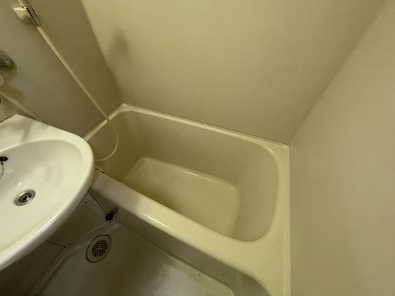 バス・シャワールーム　※別部屋の写真です