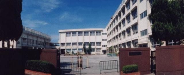 小学校　葛飾区立新宿小学校（小学校）まで173m