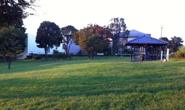 公園　大谷近隣公園（公園）まで1333m