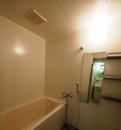 バス・シャワールーム　他部屋参考写真