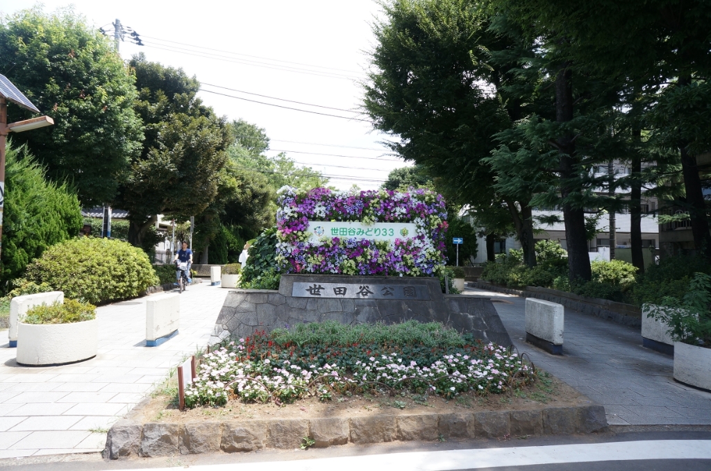 公園　世田谷公園（公園）まで810m