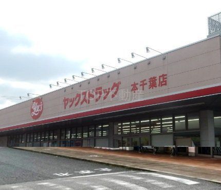 ドラックストア　ヤックスドラッグ本千葉店（ドラッグストア）まで800m