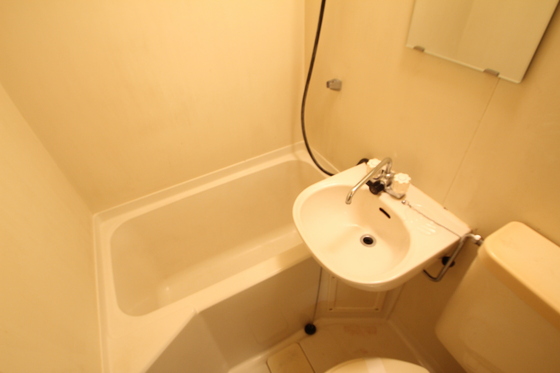バス・シャワールーム　※別部屋の写真です