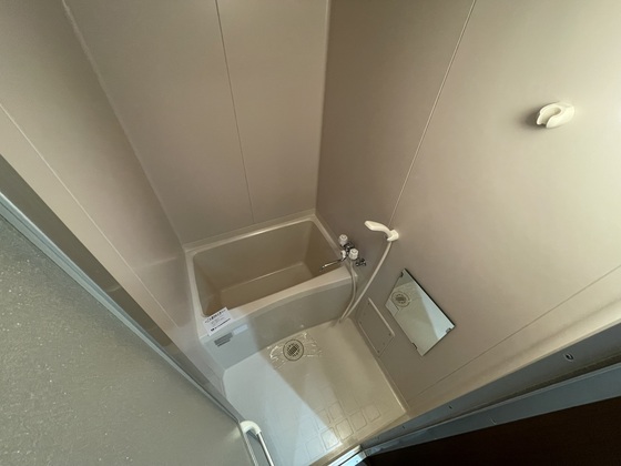 バス・シャワールーム　※別部屋の写真です