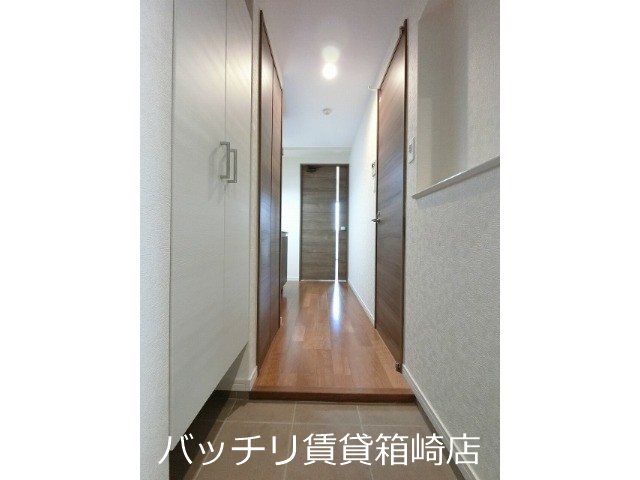 玄関　画像は同シリーズタイプの為、参考写真になります。