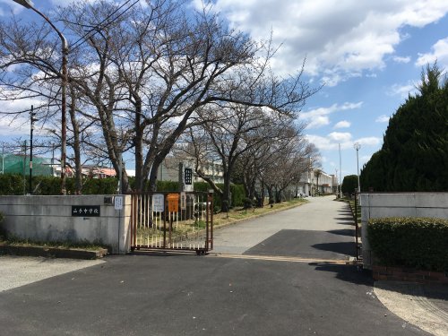 中学校　山手中学校（中学校）まで311m