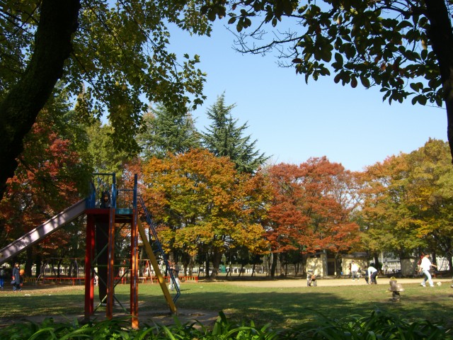 公園　横枕西公園（公園）まで200m