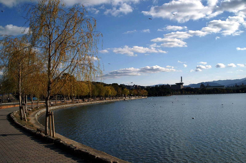 公園　大濠公園（公園）まで808m