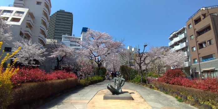 公園　播磨坂さくら並木（公園）まで401m