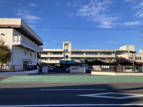 小学校　橿原市立畝傍北小学校（小学校）まで681m