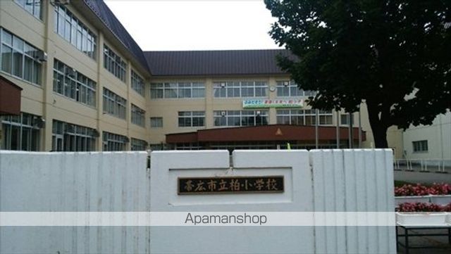 小学校　柏小学校（小学校）まで1512m
