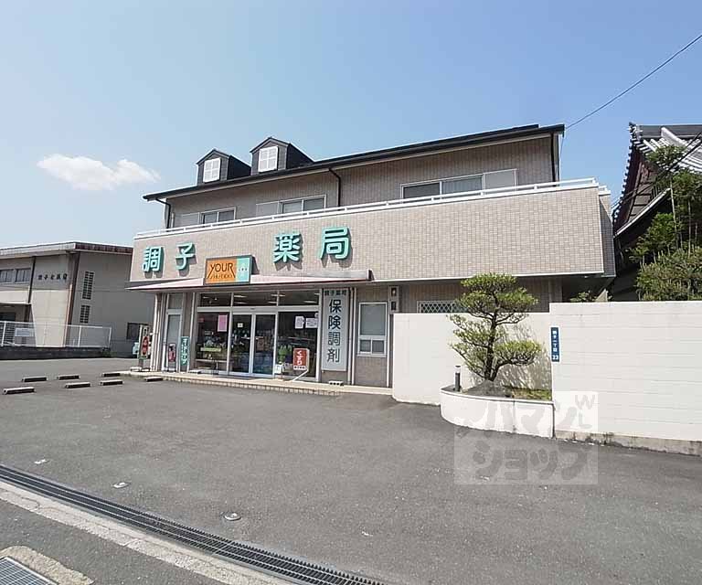 ドラックストア　調子薬局（ドラッグストア）まで550m