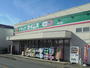 ドラックストア　ドラッグセイムス東大宮店（ドラッグストア）まで309m