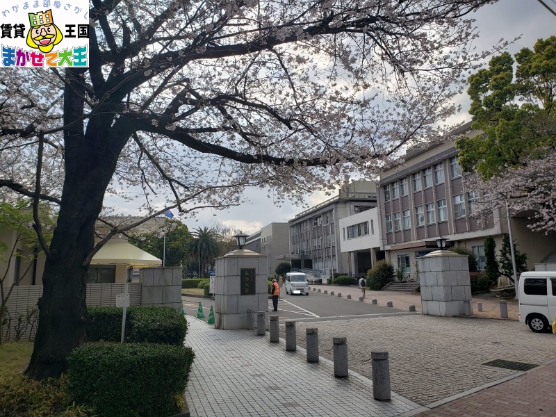 【長崎市千歳町のマンションの大学・短大】