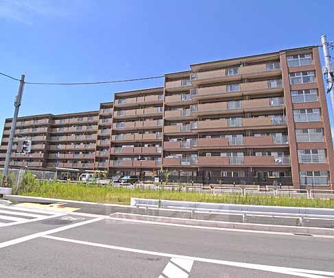 京都市伏見区桃山町因幡のマンションの建物外観