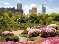 公園　相楽園（公園）まで303m