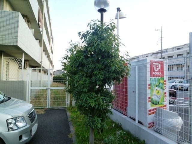 エントランス　★エントランススペースです★