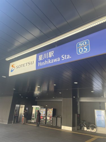 その他　星川駅（その他）まで936m