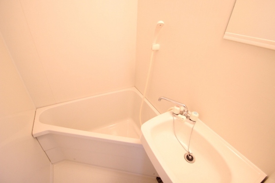 バス・シャワールーム　※別部屋の写真です