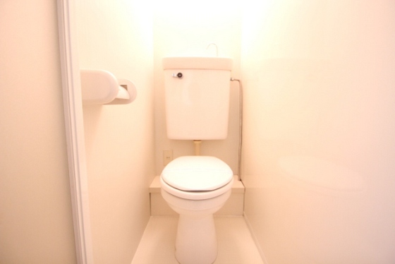 トイレ　※別部屋の写真です