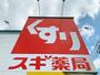 ドラックストア　スギ薬局調剤 長瀬駅前調剤店（ドラッグストア）まで256m