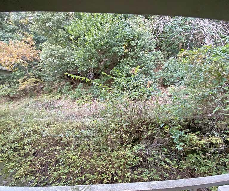 眺望　窓からの景色です。