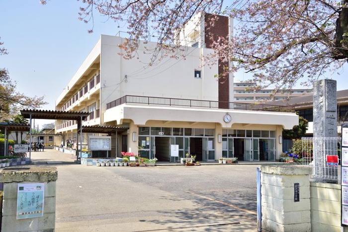 小学校　蓮田南小学校（小学校）まで510m