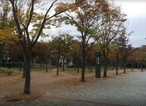 公園　竹園公園（公園）まで665m