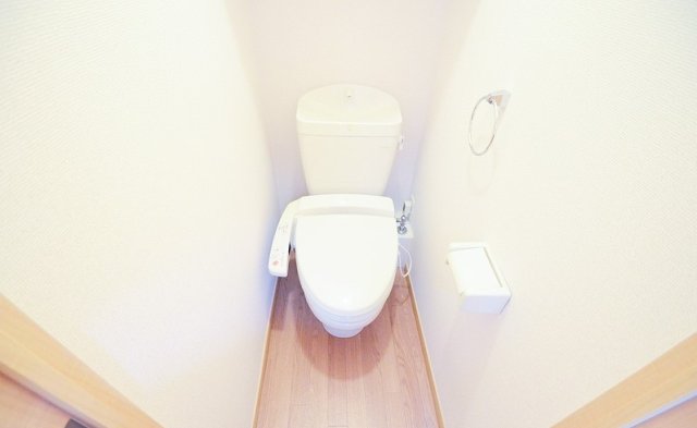 トイレ　写真は別号室のものです。