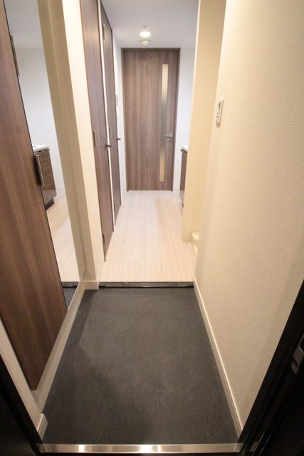 玄関　※別室（反転タイプ）の参考写真です。