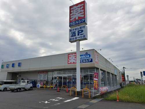 ドラックストア　ウエルシア 行方玉造店（ドラッグストア）まで3008m