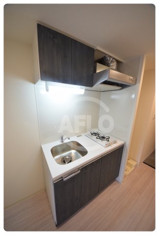 キッチン　プレサンス上町台筆ヶ崎NORTH　2口ガスシステムキッチン