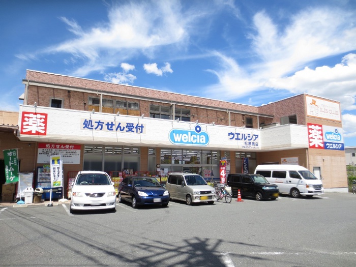 ドラックストア　ウエルシア　松原岡店（ドラッグストア）まで900m