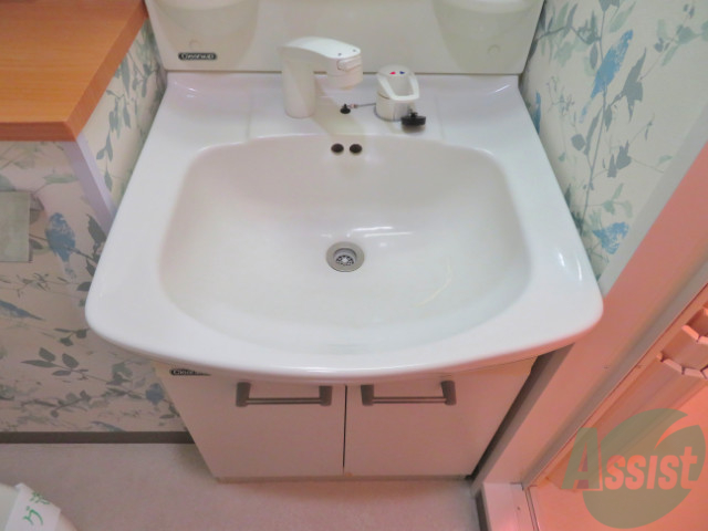 洗面設備　洗面台にはシャワーが付いているので便利ですね