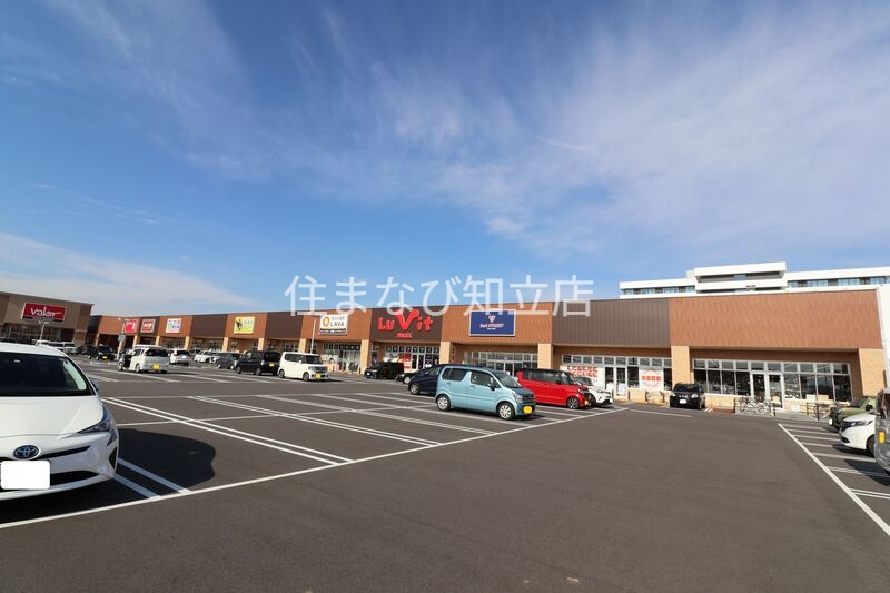 ショッピングセンター　ルビットパーク岡崎（ショッピングセンター）まで828m